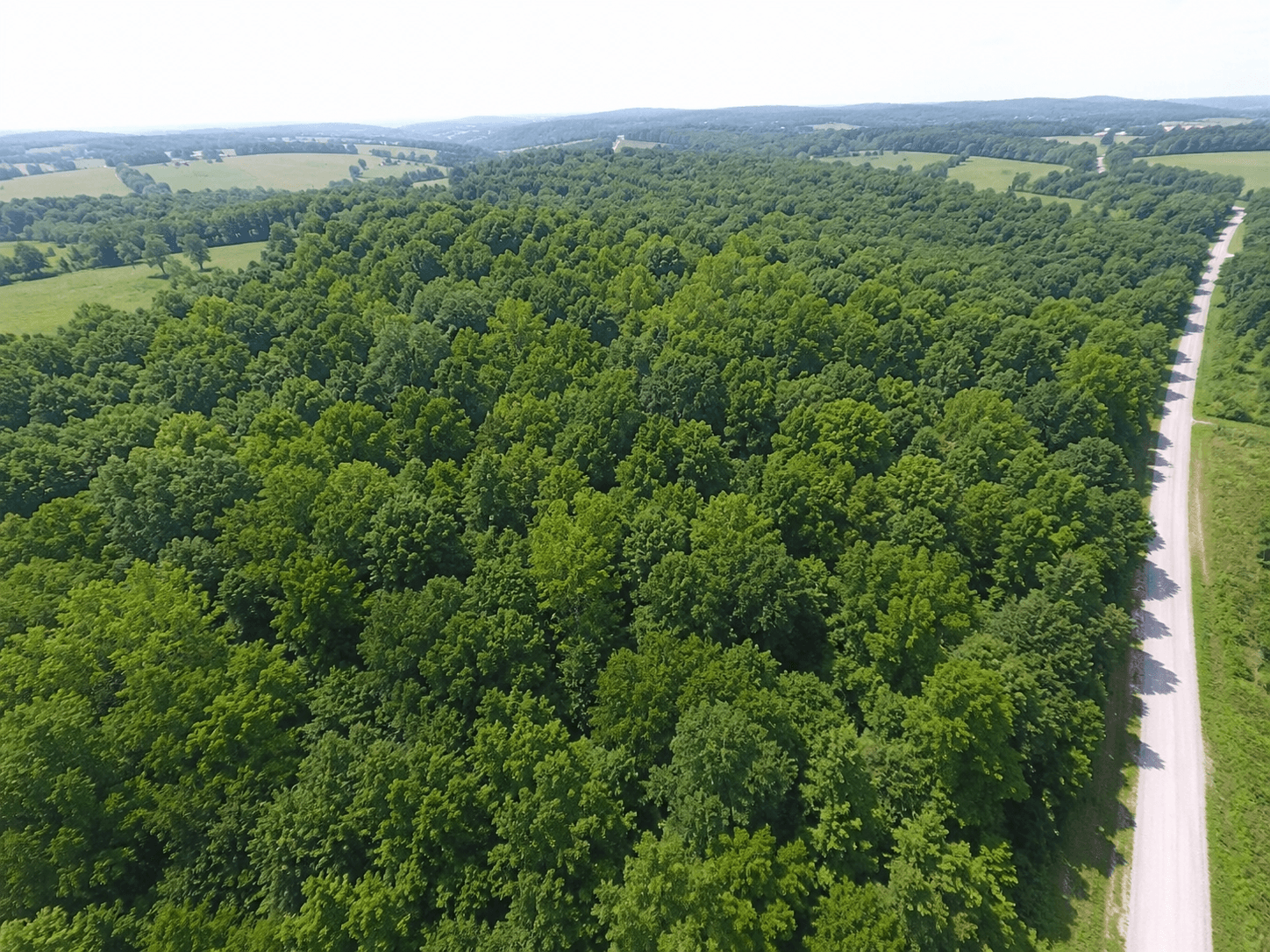 Aerial property overview